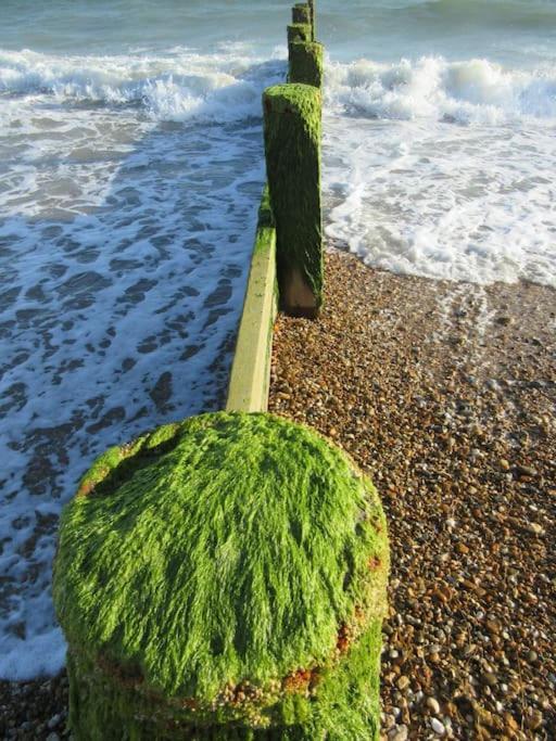 Horizon View Villa South Hayling Dış mekan fotoğraf